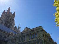 Ausflug nach Canterbury mit Kathedrale Besichtigung (16) &ndash; &copy; Benjamin Rodriguez Manzanares (Eberhardt TRAVEL)