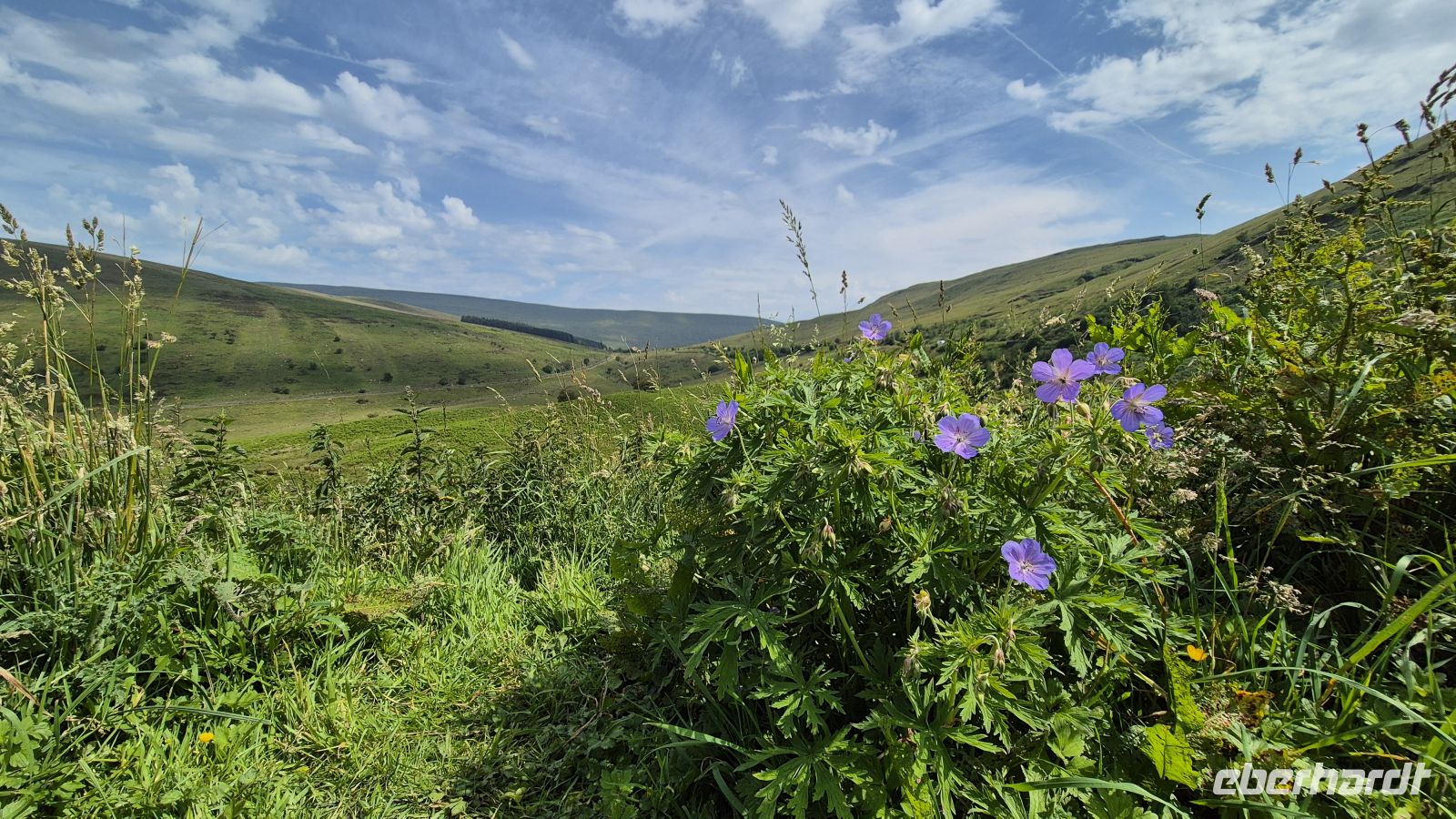 Brecon Beacons Nationalpark &ndash; &copy; Sinah Witzig (Eberhardt TRAVEL)