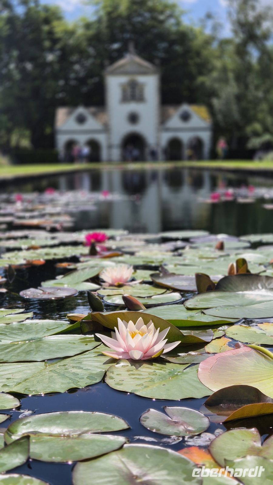Bodnant Gardens &ndash; &copy; Sinah Witzig (Eberhardt TRAVEL)
