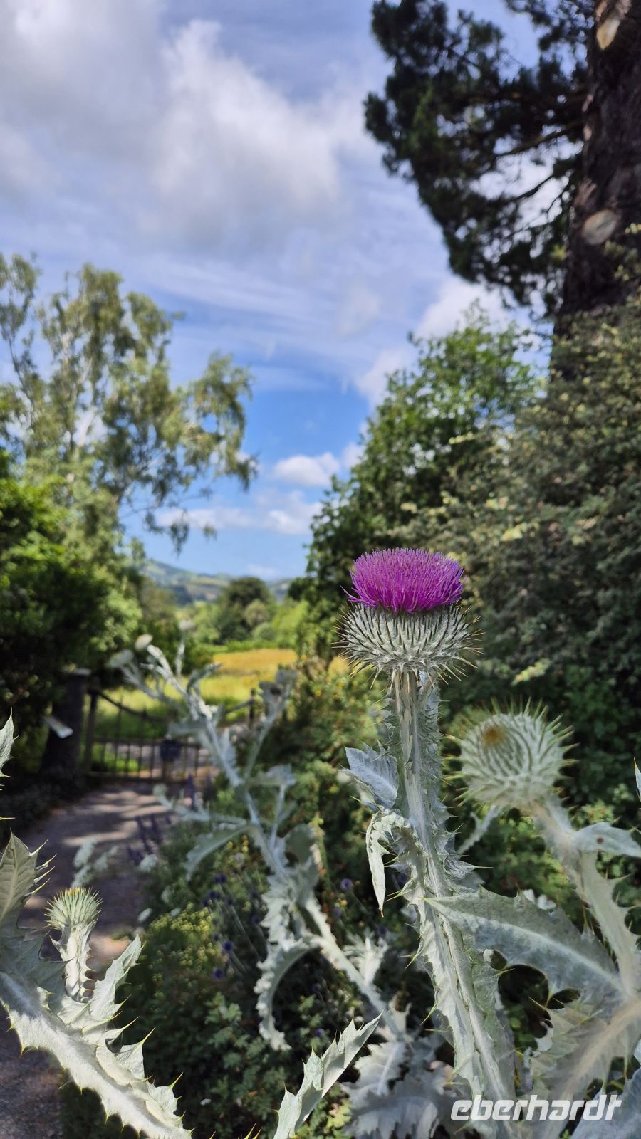 Bodnant Gardens &ndash; &copy; Sinah Witzig (Eberhardt TRAVEL)