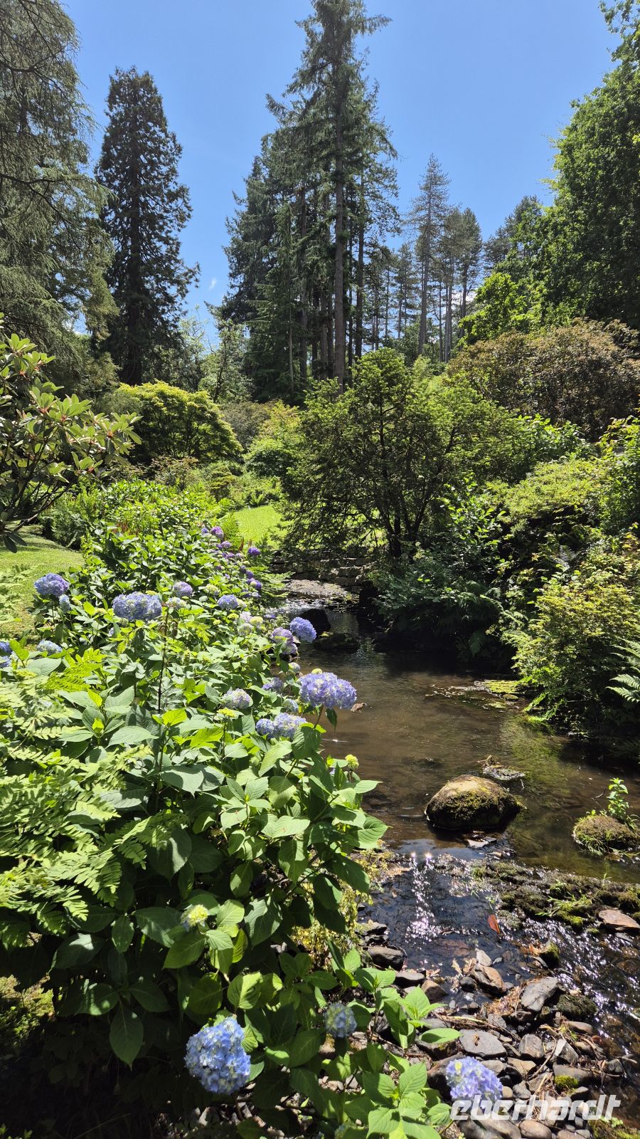 Bodnant Gardens &ndash; &copy; Sinah Witzig (Eberhardt TRAVEL)