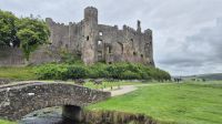Laugharne Castle &ndash; &copy; Sinah Witzig (Eberhardt TRAVEL)