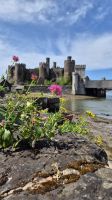 Conwy &ndash; &copy; Sinah Witzig (Eberhardt TRAVEL)