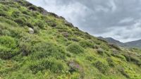 Eryri Nationalpark / Snowdonia