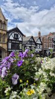 Chester &ndash; &copy; Sinah Witzig (Eberhardt TRAVEL)