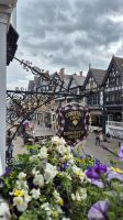 Chester &ndash; &copy; Sinah Witzig (Eberhardt TRAVEL)