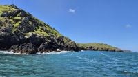 Skomer Island &ndash; &copy; Sinah Witzig (Eberhardt TRAVEL)