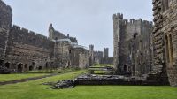 Caernarfon Castle