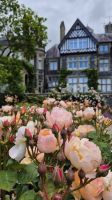 Bodnant Garden &ndash; &copy; Sinah Witzig (Eberhardt TRAVEL)