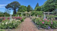 Bodnant Garden &ndash; &copy; Sinah Witzig (Eberhardt TRAVEL)