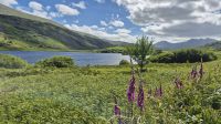 Eryri (Snowdonia) Nationalpark &ndash; &copy; Sinah Witzig (Eberhardt TRAVEL)