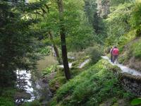 Bodnant Garden &ndash; &copy; Norbert Binder (Eberhardt TRAVEL)