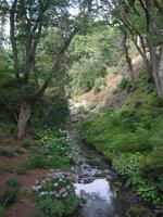Bodnant Garden &ndash; &copy; Norbert Binder (Eberhardt TRAVEL)