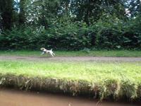 Monmouthshire and Brecon Canal &ndash; &copy; Constanze Hölig (Eberhardt TRAVEL)