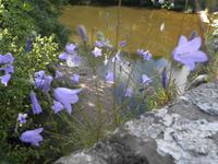 Monmouthshire and Brecon Canal &ndash; &copy; Constanze Hölig (Eberhardt TRAVEL)