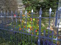 Machynlleth &ndash; &copy; Constanze Hölig (Eberhardt TRAVEL)