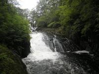 Swallow Falls &ndash; &copy; Constanze Hölig (Eberhardt TRAVEL)