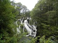 Swallow Falls &ndash; &copy; Constanze Hölig (Eberhardt TRAVEL)