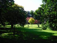 Cardiff - Bute Park