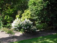 Bodnant Garden &ndash; &copy; Norbert Binder (Eberhardt TRAVEL)