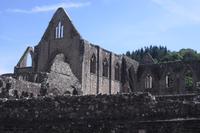 Tintern Abbey &ndash; &copy; Norbert Binder (Eberhardt TRAVEL)
