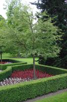 Bodnant Garden &ndash; &copy; Norbert Binder (Eberhardt TRAVEL)