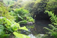 Bodnant Garden &ndash; &copy; Norbert Binder (Eberhardt TRAVEL)