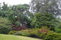 Bodnant Garden &ndash; &copy; Norbert Binder (Eberhardt TRAVEL)