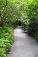 Bodnant Garden &ndash; &copy; Norbert Binder (Eberhardt TRAVEL)