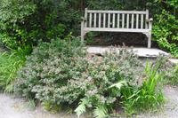 Bodnant Garden &ndash; &copy; Norbert Binder (Eberhardt TRAVEL)