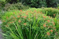 Bodnant Garden &ndash; &copy; Norbert Binder (Eberhardt TRAVEL)