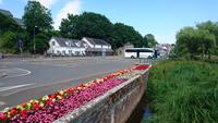 In Pembroke &ndash; &copy; Stefan Jahnke (Eberhardt TRAVEL)