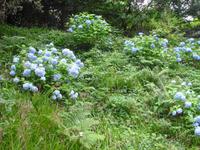 Bodnant-Garden &ndash; &copy; Norbert Binder (Eberhardt TRAVEL)