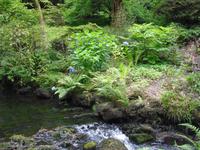 Bodnant-Garden &ndash; &copy; Norbert Binder (Eberhardt TRAVEL)