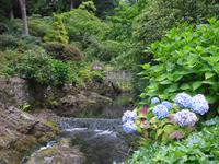 Bodnant-Garden &ndash; &copy; Norbert Binder (Eberhardt TRAVEL)