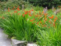 Bodnant-Garden &ndash; &copy; Norbert Binder (Eberhardt TRAVEL)