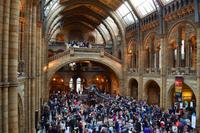 126 Natural History Museum &ndash; &copy; Konrad Füssel (Eberhardt TRAVEL)