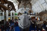 131 Natural History Museum &ndash; &copy; Konrad Füssel (Eberhardt TRAVEL)