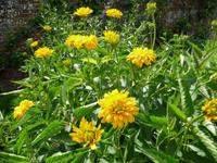 West Dean Gardens