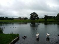 Leeds Castle