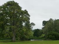 Killerton House & Garden &ndash; &copy; Konrad Füssel (Eberhardt TRAVEL)