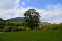 Beddgelert &ndash; &copy; Konrad Füssel (Eberhardt TRAVEL)