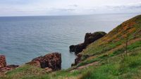 Victoria Cliffs Arbroath  &ndash; &copy; Marlies Thrum (Eberhardt TRAVEL)