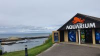 St. Andrews &ndash; &copy; Marlies Thrum (Eberhardt TRAVEL)