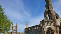 Kathedrale und Turm von St. Rules St. Andrews &ndash; &copy; Marlies Thrum (Eberhardt TRAVEL)