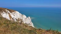 20220708 152557 Kreidefelsen am Beachy Head &ndash; &copy; Marlies Thrum (Eberhardt TRAVEL)