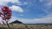 20220713 122448 St. Michael Mount &ndash; &copy; Marlies Thrum (Eberhardt TRAVEL)