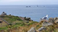 20220713 145914 Land`s End &ndash; &copy; Marlies Thrum (Eberhardt TRAVEL)