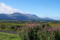Ben Nevis Range, im Vordergrund Blutweiderich &ndash; &copy; Andreas Böcker (Eberhardt TRAVEL)