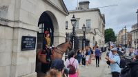 20220731 100324 Horse Guards &ndash; &copy; Marlies Thrum (Eberhardt TRAVEL)